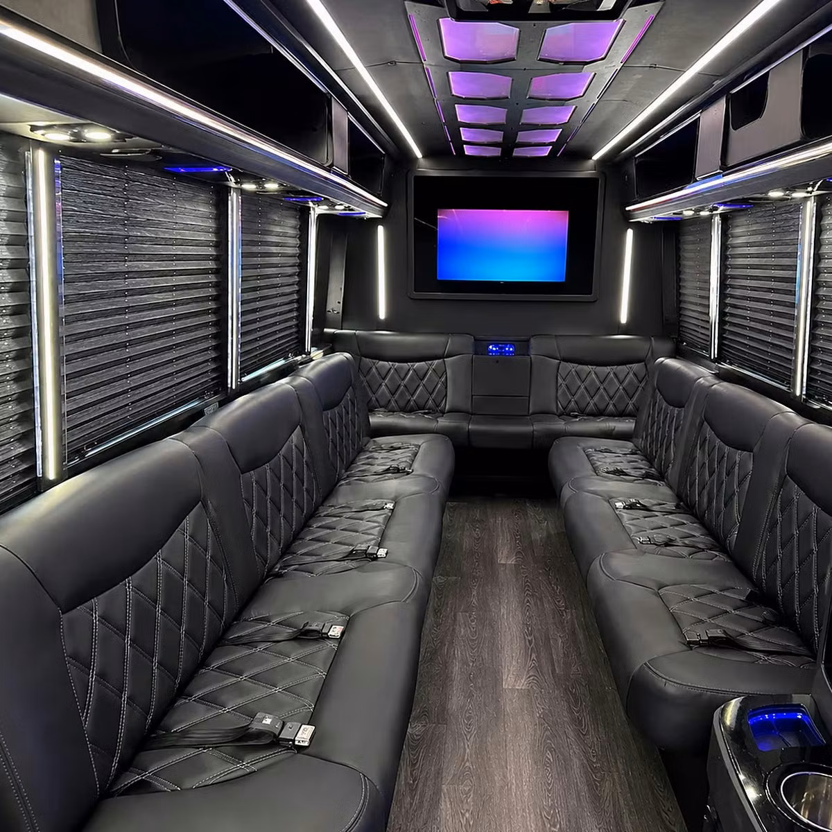 mesa party bus rental